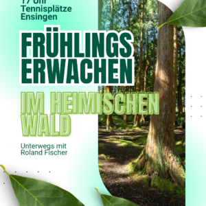 Frühlingserwachen im heimischen Wald